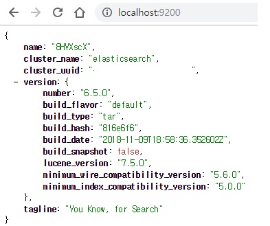 Elastic Search Main Page